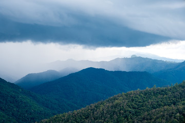 Fototapeta premium Landscape image of greenery rainforest hills in foggy day with cloudy sky background
