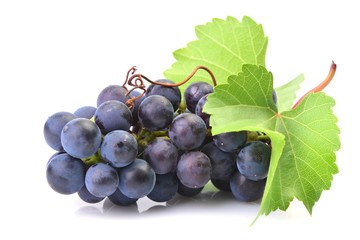 Grapes on a white background