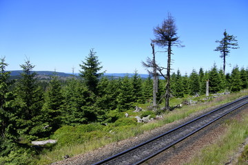 Fototapeta premium Fernblick, Eisenbahn und tote Bäume auf dem Brocken im Harz