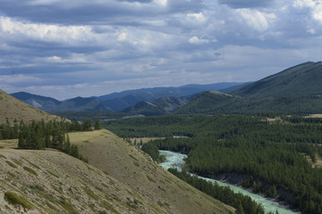 Fototapeta na wymiar Altai mountains. River Argut. Beautiful highland landscape. Russia. Siberia