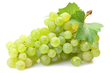 Grapes on a white background