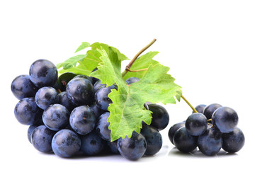 Grapes on a white background