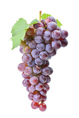 Grapes on a white background