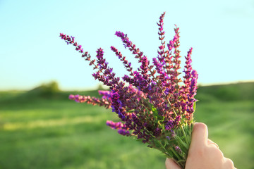 Woman with bouquet of sage flowers in field on spring day