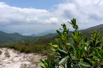 Wandern in Hong Kong