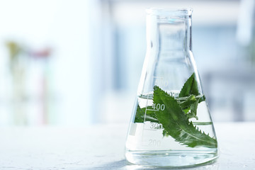 Flask with green leaves on blurred background