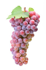 Grapes on a white background