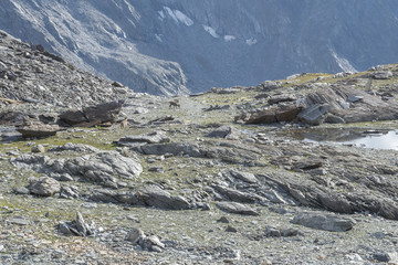 2018 august the 19th  Senales valley