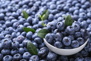 Bowl with fresh ripe blueberries
