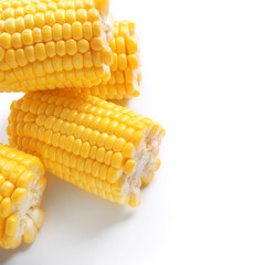 Fresh corn cobs on white background