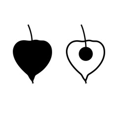 Physalis (groundcherry) fruit berry