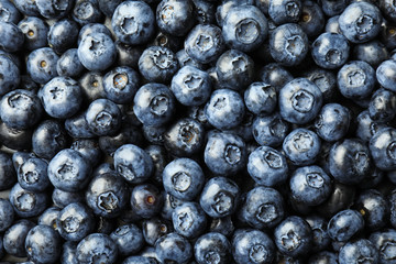 Ripe blueberries as background