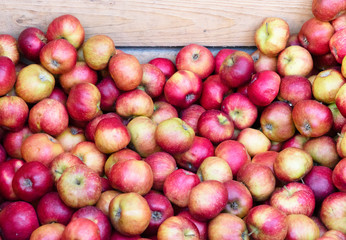Fototapeta na wymiar red ripe apples in wooden boxes at street market