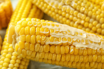 Tasty corn cobs with butter, closeup