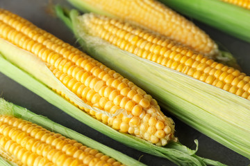 Ripe corn cobs on light background, closeup