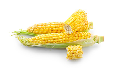 Ripe corn cobs on white background