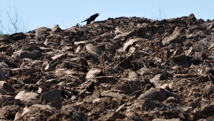 Plowed over a piece of land