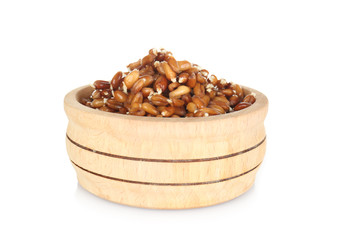 Bowl with sprouting wheat grass seeds on white background