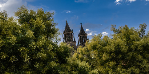 Magdeburger Domtürme Blick von den Elbterrassen