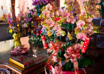Fototapeta na wymiar Bunch of orchid flowers used as a god offering in Dongyue temple Tainan