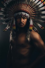 Naklejka na ściany i meble Moody native american indian portrait