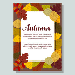 Floral and flat leaves autumn Poster