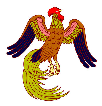 An image of a cock with a long tail in the style of engraving