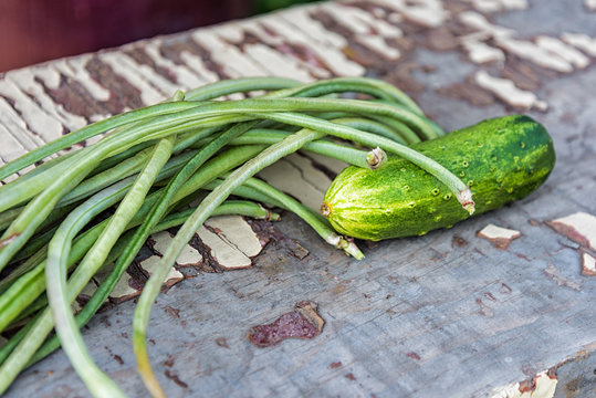 the green beans and cucumber on the old bench in the garden