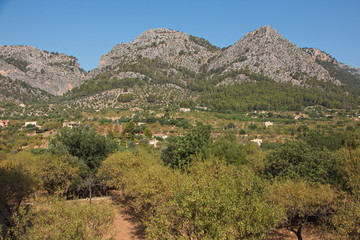 Obraz premium View of Tramuntana Mountains from the historical train Ferrocarril de Soller on Mallorca 