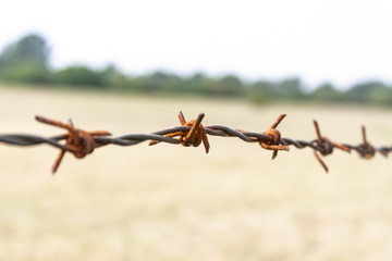 Stacheldraht CloseUp Quer