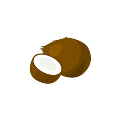  Vector image of coconut on a white background.