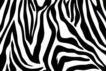 Zebra Stripes Pattern. Zebra print, animal skin, tiger stripes, abstract pattern, line background, fabric. Amazing hand drawn vector illustration. Poster, banner. Black and white artwork, monochrom © Aygun