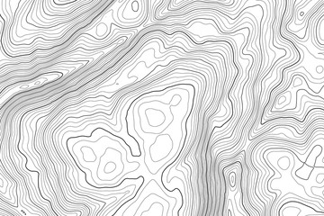 Vector contour topographic map background. Topography and geography map grid abstract backdrop. Business concept. Vector illustration