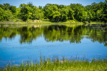 Fototapeta na wymiar A beautiful lake park in Hagerman Wildlife Refuge, Texas