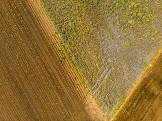 Abstract aerial view of vertically photographed fields