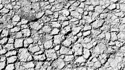 Dry cracked scorched earth