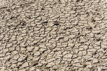 Dry cracked scorched earth, cracked land in fields
