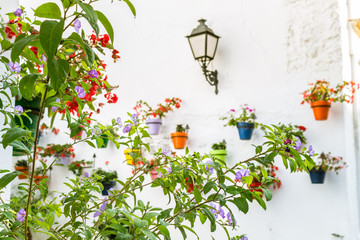 Flowerpots of Andalusia with an old Street Light