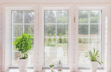 Bright interior of the room in a wooden house with a large window overlooking the summer courtyard. Summer landscape in white window. Home and garden concept. House plant Sansevieria trifasciata