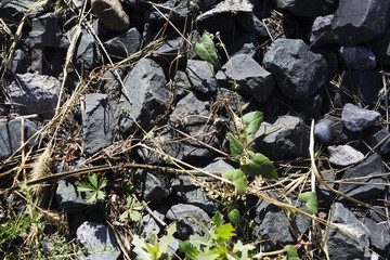 Texture with stones