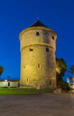 Fototapeta na wymiar A tower in Walls of Tallinn at night, Estonia