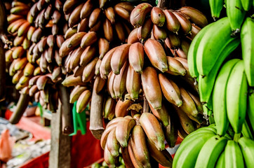 Bundles of green and red bananas in a fruit shop. Candy. Sri Lanka.
