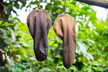 The coffee bag for filtering coffee with cleaning