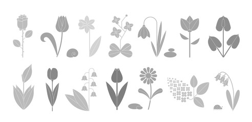 Flower icon set isolated on white. Cute various flowers including rose, tulip, orchid, Espatifilo, bells flowers, Bellis perennis, bulb flowers.