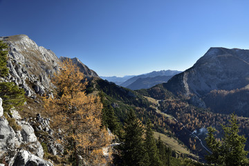 Panoramic view from 