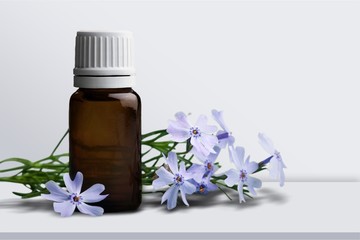 Plant leaves and bottle in row on white, top view