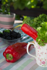 Colorful dining table, richly served for the summer garden party / Enjoying leisure time in nature. Healthy lifestyle concept