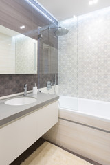 Modern bathroom with shower and a sink