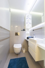 Fototapeta na wymiar Toilet room or WC. Modern interior design