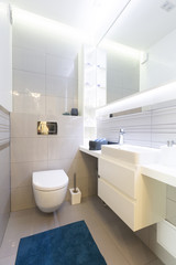 Toilet room or WC. Modern interior design